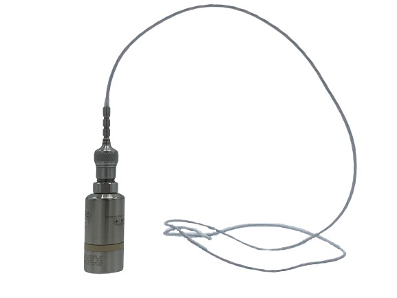 Logger with flexible probe removebg preview 1 0